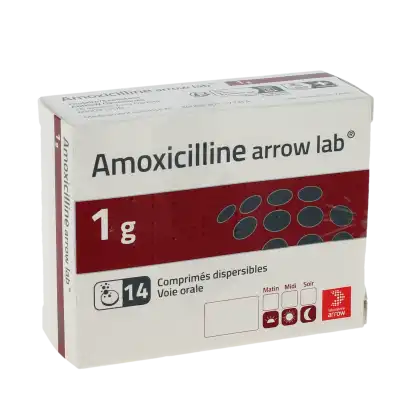 Amoxicilline Arrow Lab 1 G, Comprimé Dispersible à Casteljaloux
