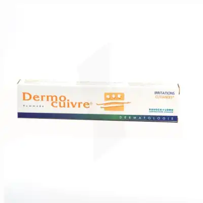 Dermocuivre Pom Dermite Irritative T/25g à Dreux