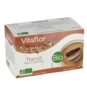 Vitaflor Bio Tisane Transit à CUISERY