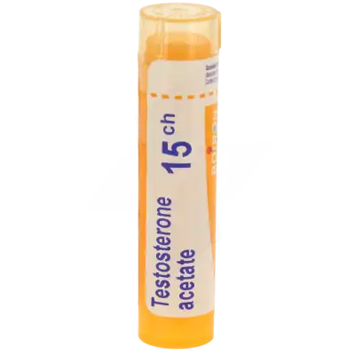Boiron Testosterone Acetate 15ch Granules Tube De 4g à Hagetmau