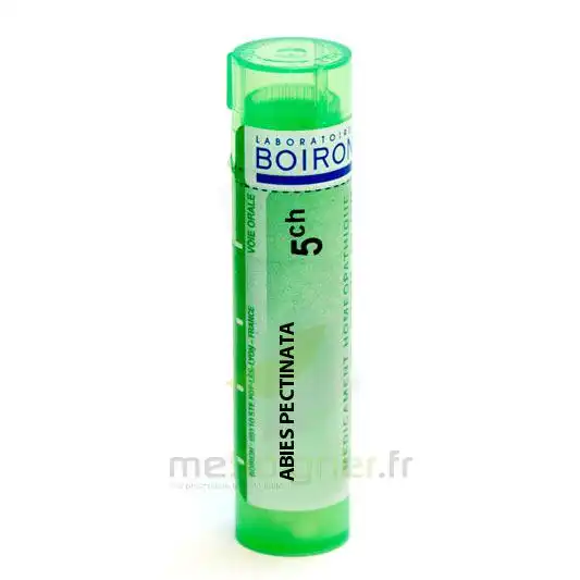 Boiron Abies Pectinata 5ch Granules Tube De 4g