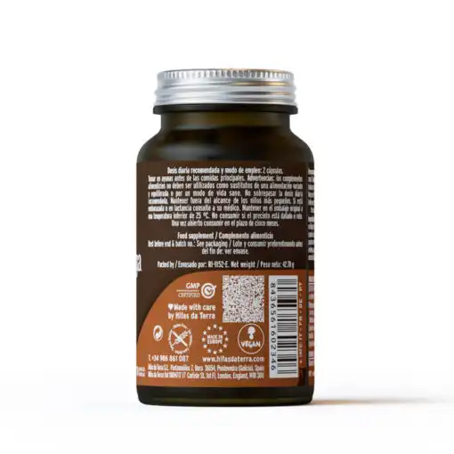 Hifas Da Terra Mico-chaga Gélules B/70