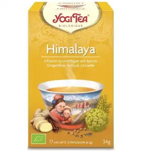 Yogi Tea Tisane Ayurvédique Himalaya Bio 17 Sachets/2g à RUMILLY