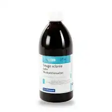 Eps Phytostandard Sauge Sclarée Extrait Fluide Fl/500ml à VALENCE