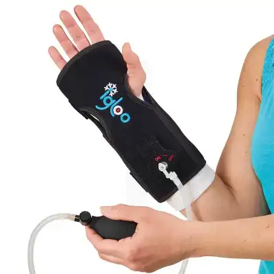 Igloo Attelle Cheville Poig/mai à Libourne