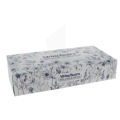 Euromedis Mouchoir Blanc B/100 à Andernos