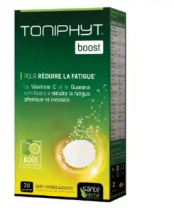 Santé Verte Toniphyt Boost Comprimés Effervescents Citron Vert Menthe B/45 à TIGNIEU-JAMEYZIEU