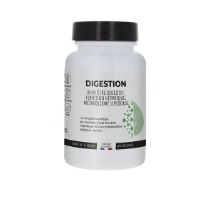 Prophar Digestion Gélules 90