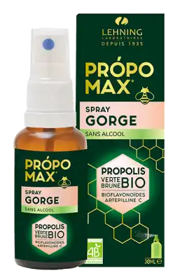 Lehning Propomax Spray Gorge Sans Alcool Fl/30ml à VILLENAVE D'ORNON