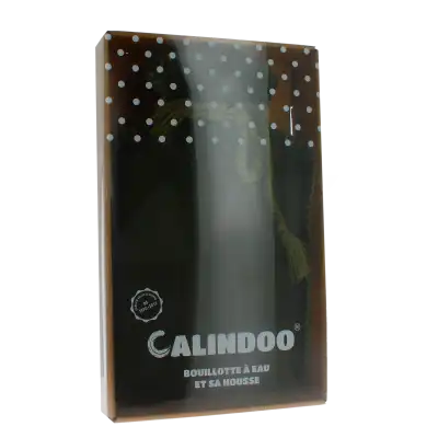 Calindoo Bouillotte Avec Housse Flanelle Vert Bouteille 2 L à Rambouillet