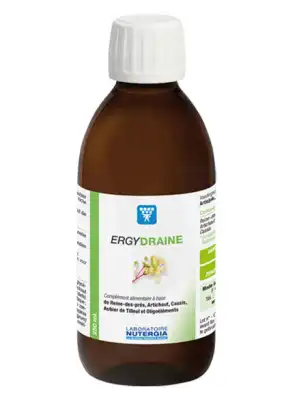 Ergydraine Solution Buvable Fl/500ml à SAINT-PRYVÉ-SAINT-MESMIN
