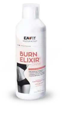 Eafit Burn Elixir Drink Thé Vert épicé Solution Buvable Fl/500ml à CANALS