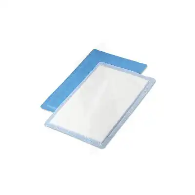 Convamax Pans Hydrocel 20x40cm B/10 à Bordeaux