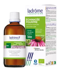 Ladrôme Extrait De Plante Echinacée Pourpre Plante Entière Fleurie 100ml