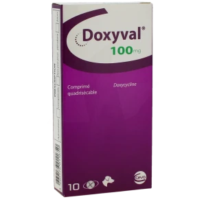 Doxyval 100 Mg Comprime Quadrisecable Pour Chien, Comprimé