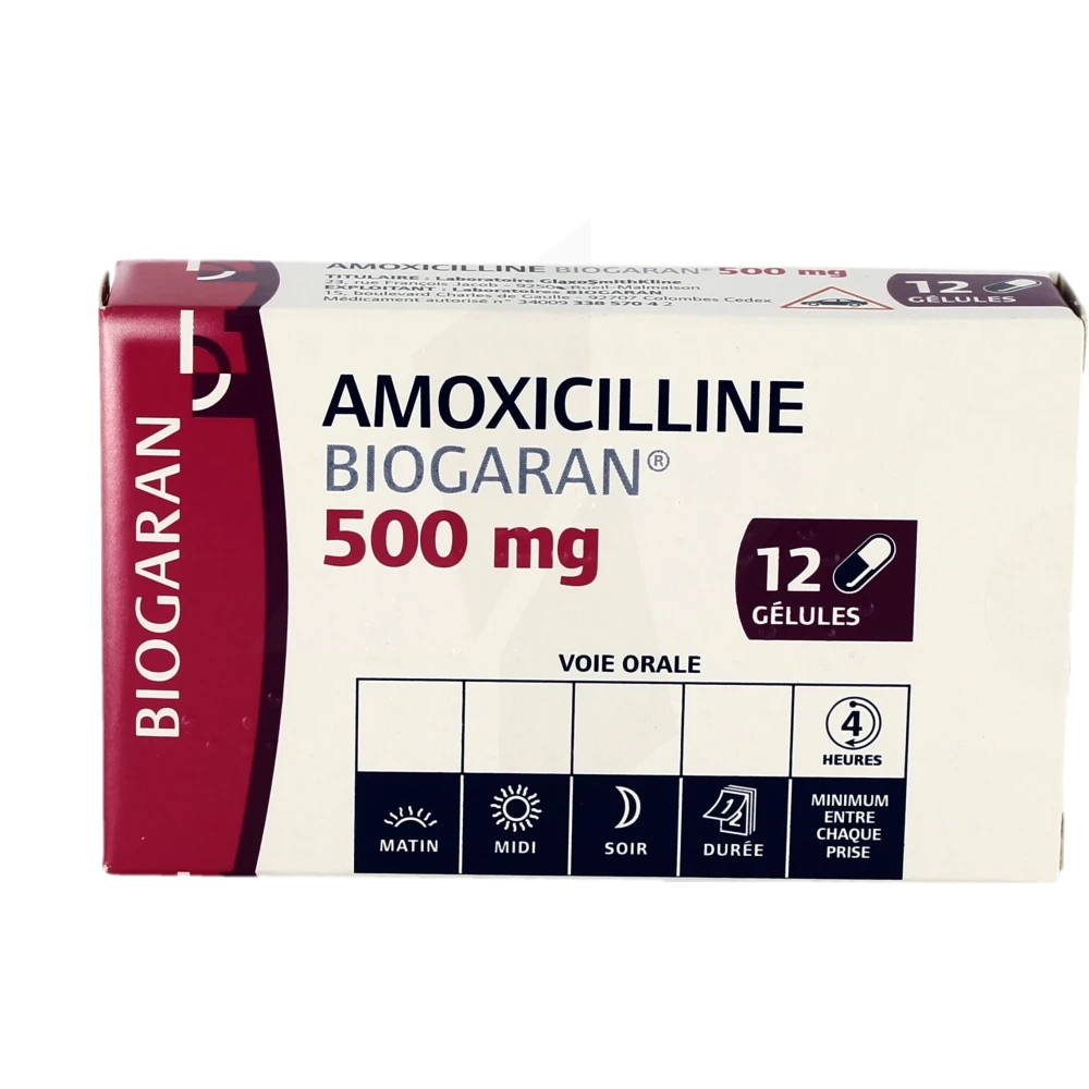 Pharmacie de la Gare - Médicament Amoxicilline Biogaran 500 Mg ...