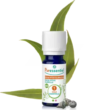 Acheter Puressentiel Huiles essentielles - HEBBD Eucalyptus globuleux BIO* - 10 ml à BU