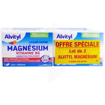 Alvityl Magnésium Vitamine B6 Libération Prolongée Comprimés Lp 2b/45 à Gourbeyre
