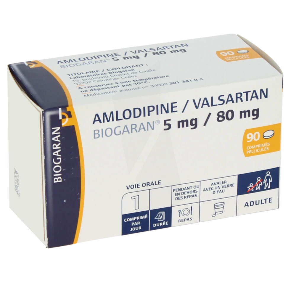 Amlodipine/valsartan Biogaran 5 Mg/80 Mg, Comprimé Pelliculé