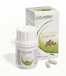 Elusanes Gingembre, Bt 50 à Villeneuve-sur-Lot