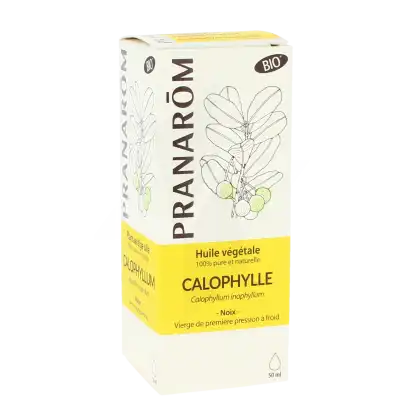 Pranarom Huile Végétale Bio Calophylle 50ml à Obernai