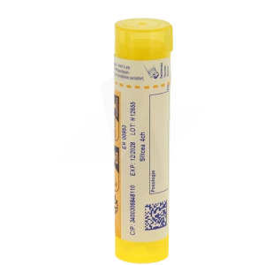 Boiron Silicea 4ch Granules Tube De 4g