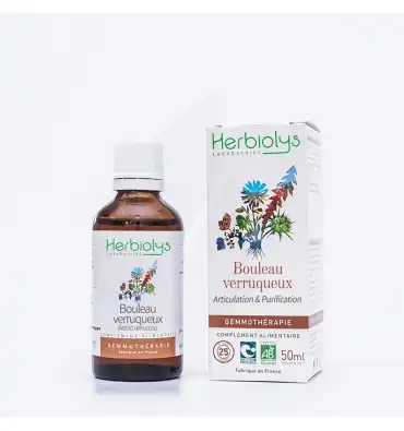 Herbiolys Phyto - Bouleau Verruqueux 50ml Bio