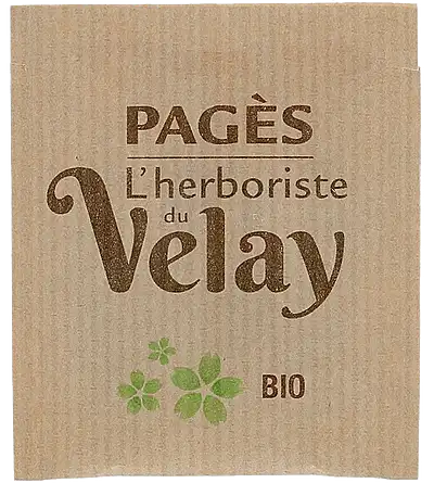 Pagès Thé Vert Gingembre à L'huile Essentielle De Citron Vert Thé Vert Bio Boîte De 20 Sachets