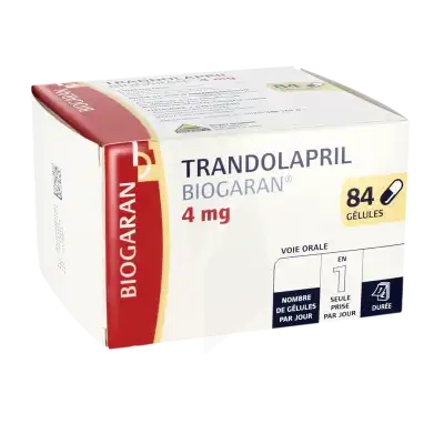 Trandolapril Biogaran 4 Mg, Gélule à Ris-Orangis
