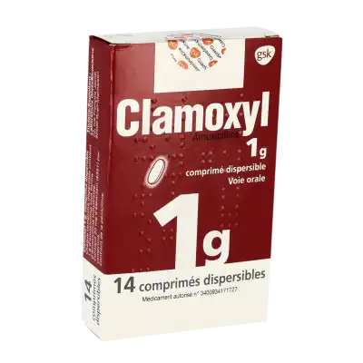 Clamoxyl 1 G, Comprimé Dispersible à Paris