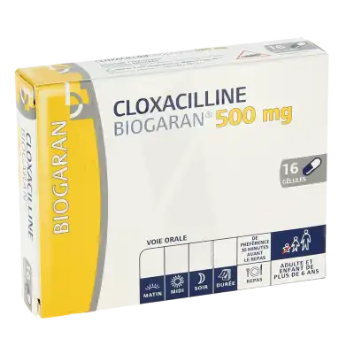 Cloxacilline Biogaran 500 Mg, Gélule à MERINCHAL