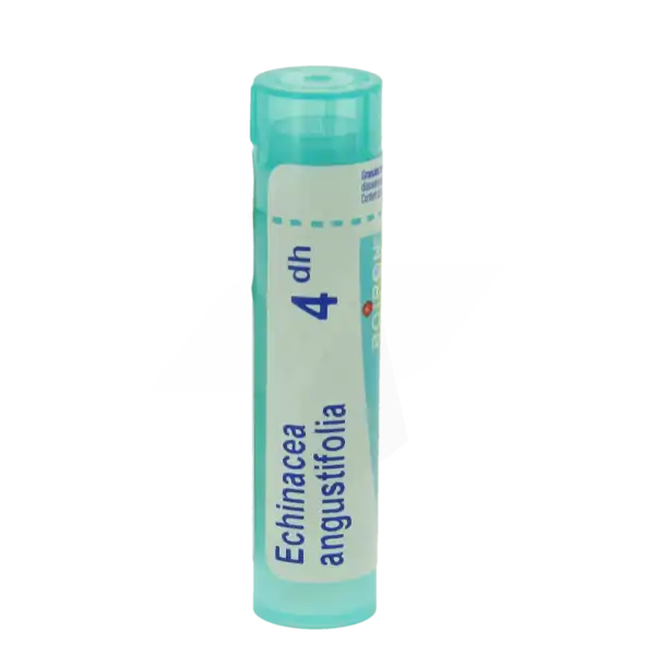 Boiron Echinacea Angustifolia 4dh Granules Tube De 4g