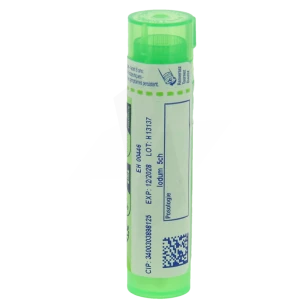 Boiron Iodum 5ch Granules Tube De 4g