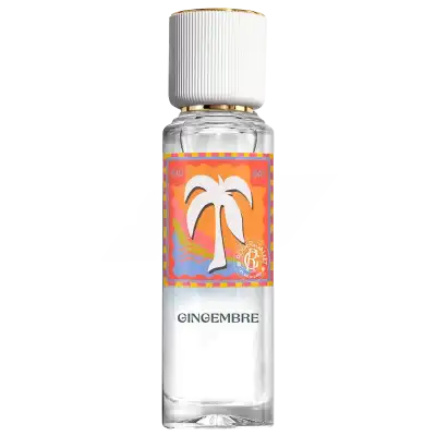 Roger & Gallet Gingembre Eau Parfumée Bienfaisante Flacon De 30 Ml à Rambouillet