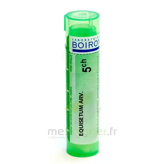 Boiron Equisetum Arvense 5ch Granules Tube De 4g