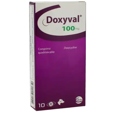 DOXYVAL 100 MG COMPRIME QUADRISECABLE POUR CHIEN, Comprimé