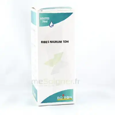 Ribes Nigrum 1dh Flacon 30ml à MARIGNANE