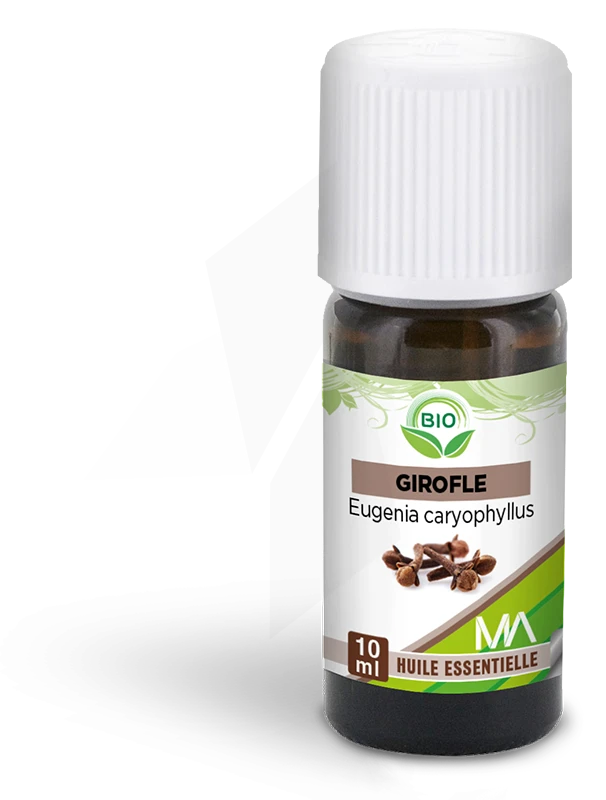 Tout savoir sur l'huile essentielle de clou de Girofle ou Giroflier -  Pharma GDD