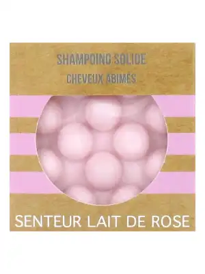 Valdispharm Shampooing Solide Lait De Rose Cheveux Abîmés B/55g à Paris