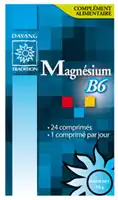 Dayang Magnesium Vitamine B6 Cpr B/24 à CANALS