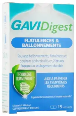 Gavidigest Ballonnement Gelul 15 à Saint-Bonnet-de-Mure