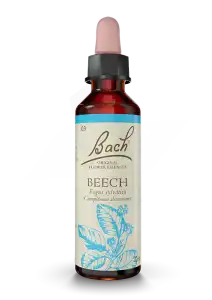 Acheter Fleurs de Bach® Original Beech - 20 ml à SEYNOD