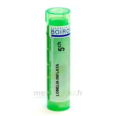 Boiron Lobelia Inflata 5ch Granules Tube De 4g à TOUCY