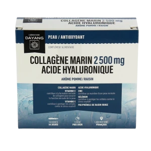 Dayang Collagène Marin Acide Hyaluronique S Buv 14unidoses