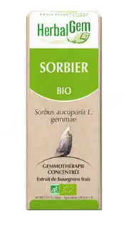 Herbalgem Sorbier Macérat Bio 30ml à Saint-Gervais-la-Forêt