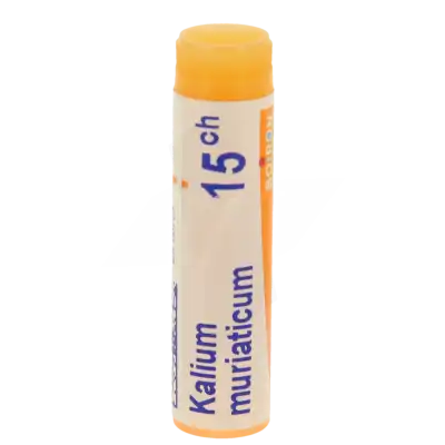 Boiron Kalium Muriaticum 15ch Globules Dose De 1g à AIX-EN-PROVENCE