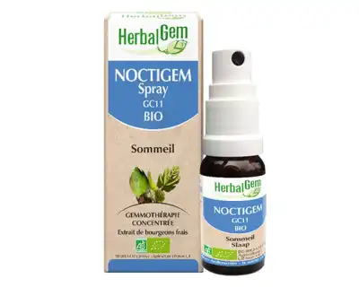 Herbalgem Noctigem Spray Bio 15 Ml à SAINT-SAENS