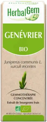 Herbalgem Genevrier Macerat Mere Concentre Bio 30 Ml à Saint-Gervais-la-Forêt