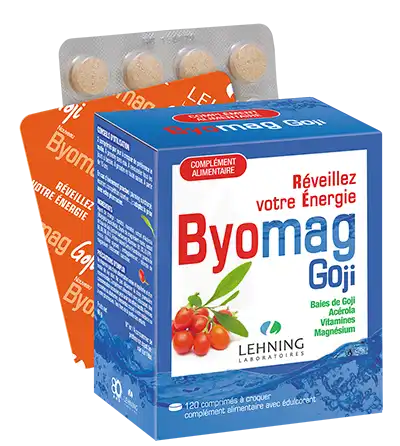 Lehning Byomag Goji Comprimés à Croquer B/120