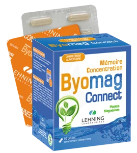Lehning Byomag Connect Gélules B/60